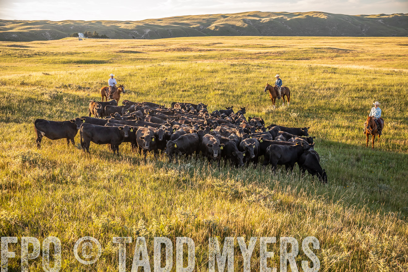 PP_TuckerRanch_NE_July2019-42345