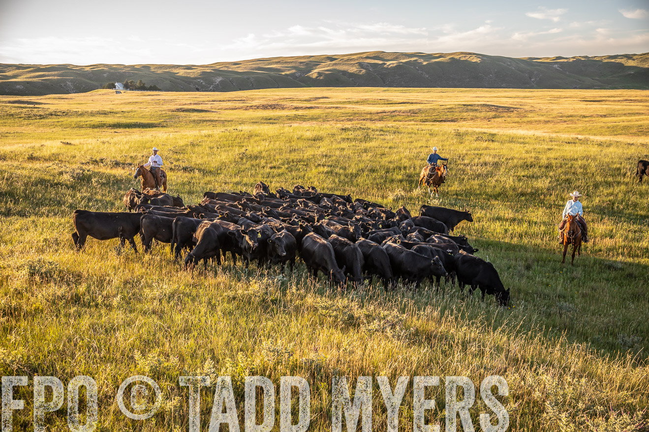 PP_TuckerRanch_NE_July2019-42354