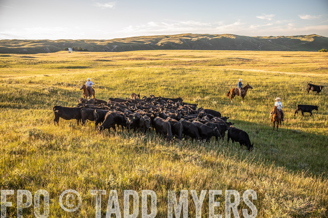 PP_TuckerRanch_NE_July2019-42357