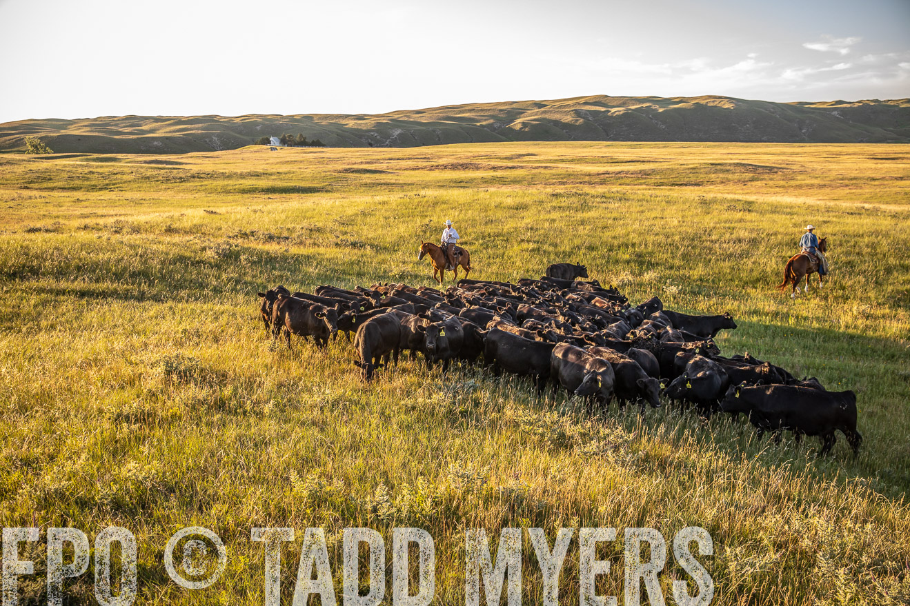 PP_TuckerRanch_NE_July2019-42359