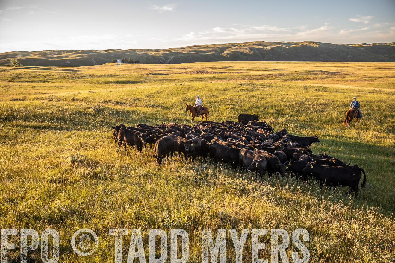 PP_TuckerRanch_NE_July2019-42360