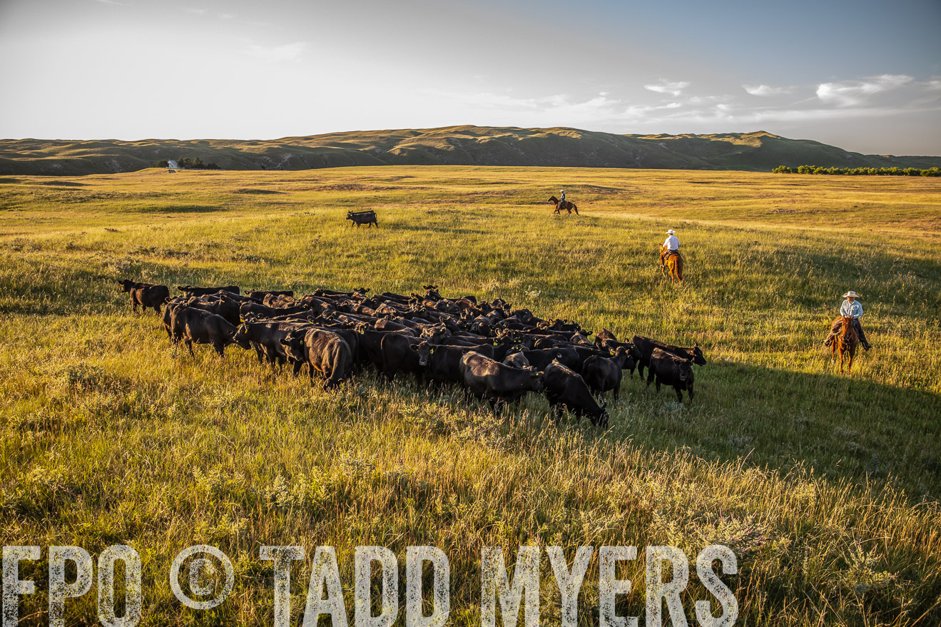 PP_TuckerRanch_NE_July2019-42371