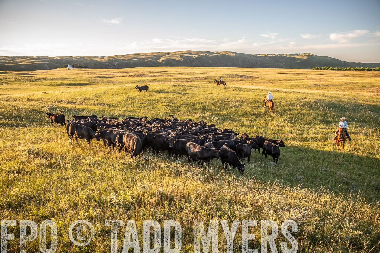 PP_TuckerRanch_NE_July2019-42372