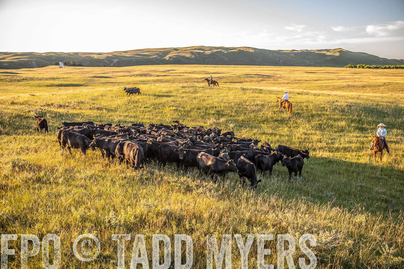 PP_TuckerRanch_NE_July2019-42374