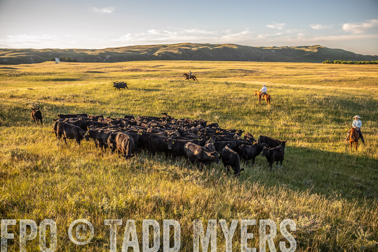 PP_TuckerRanch_NE_July2019-42375