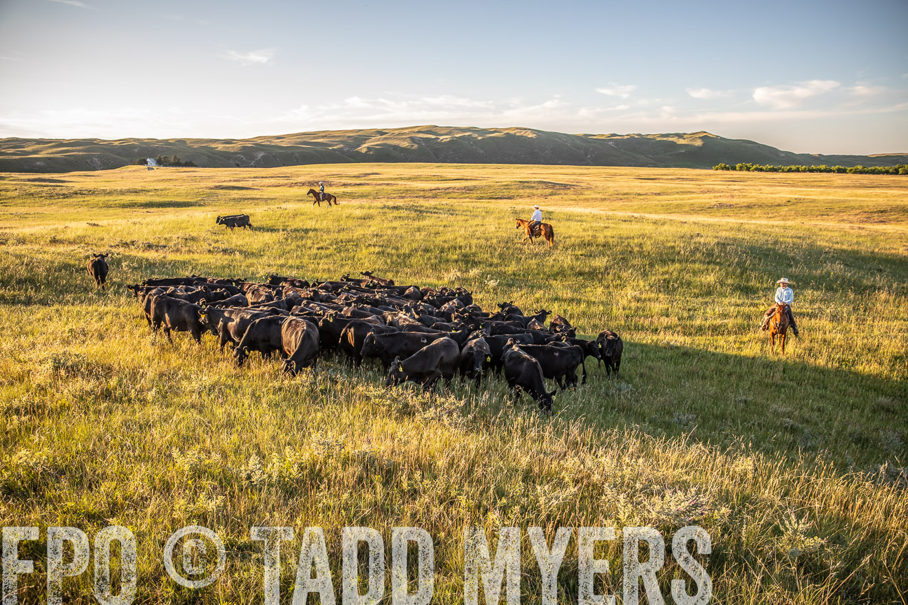 PP_TuckerRanch_NE_July2019-42378
