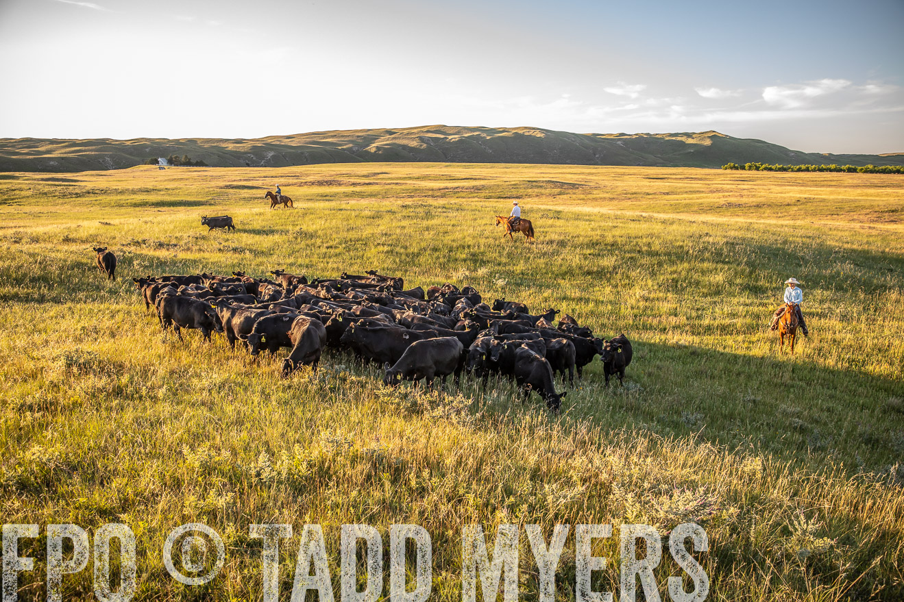 PP_TuckerRanch_NE_July2019-42380