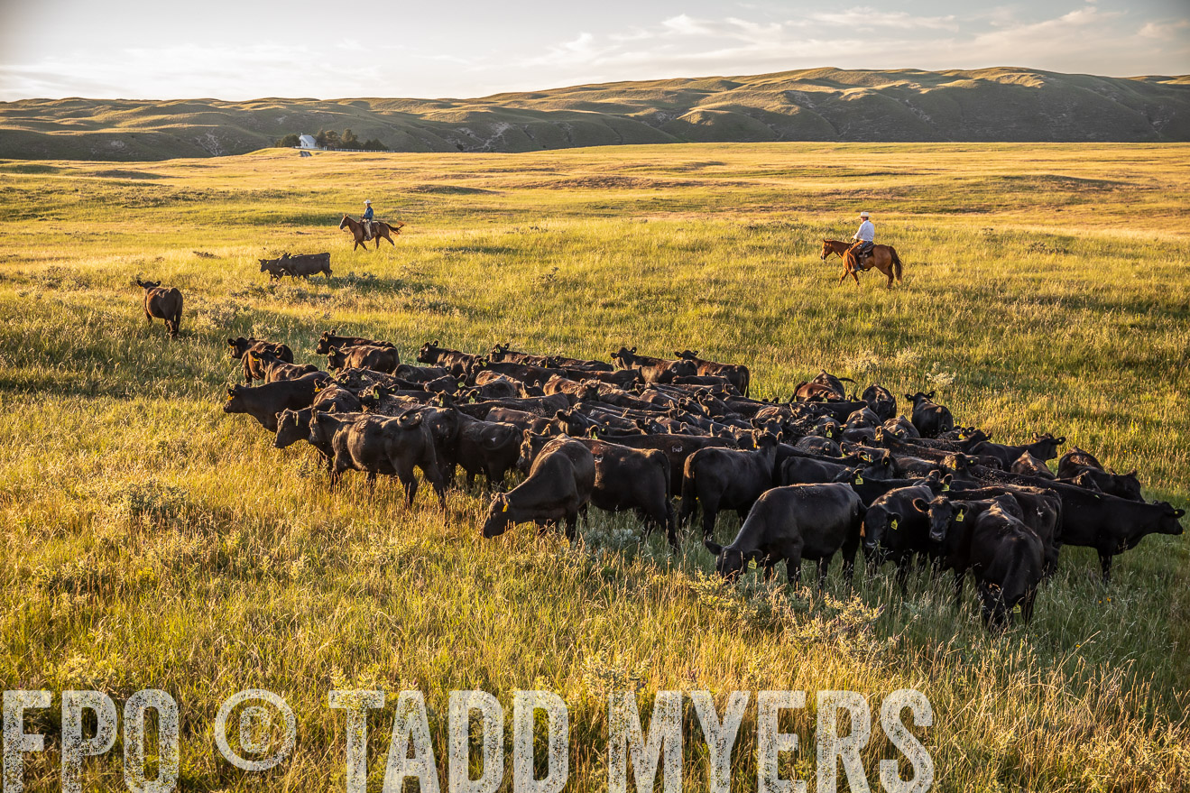 PP_TuckerRanch_NE_July2019-42384