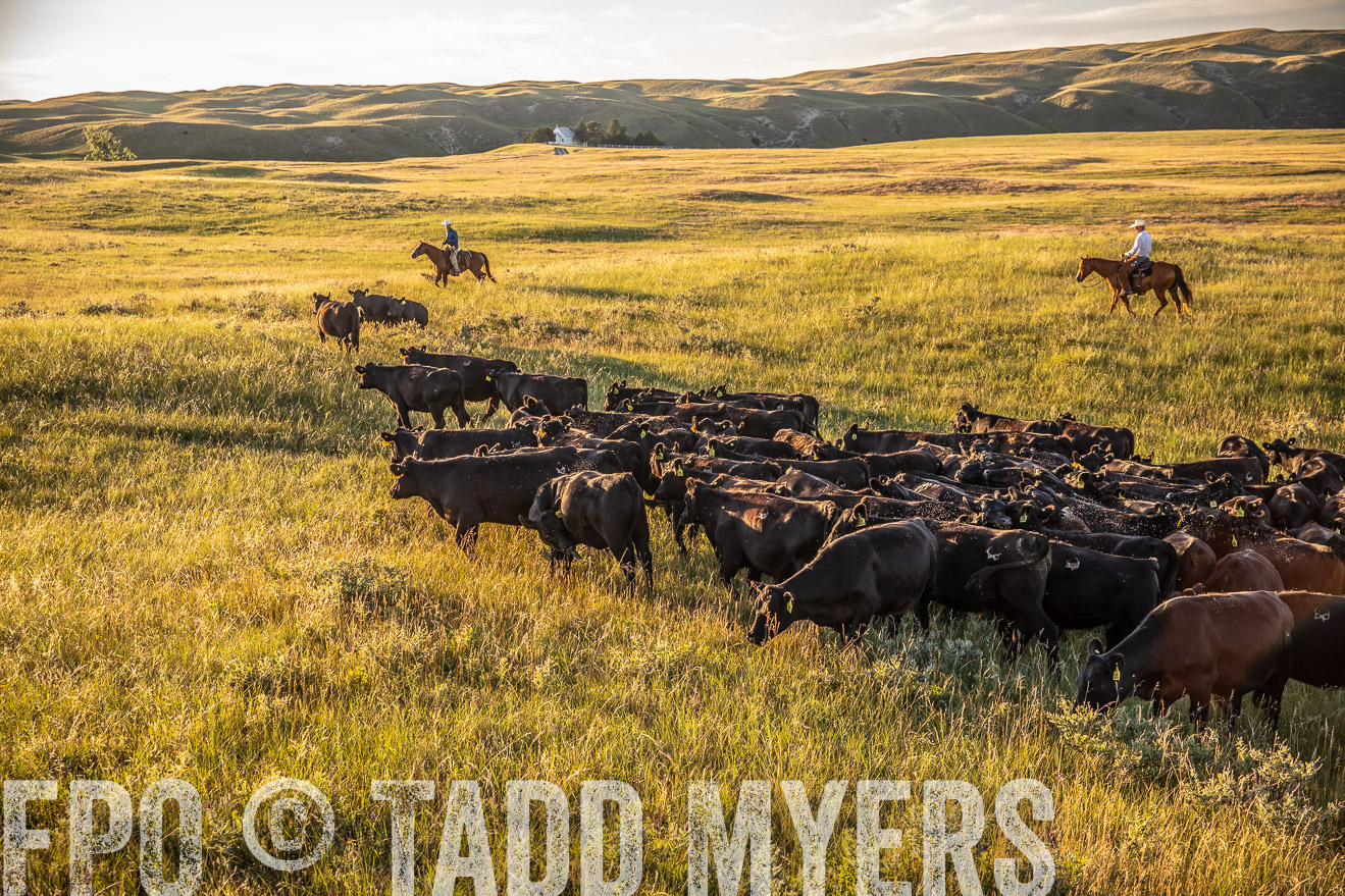 PP_TuckerRanch_NE_July2019-42387