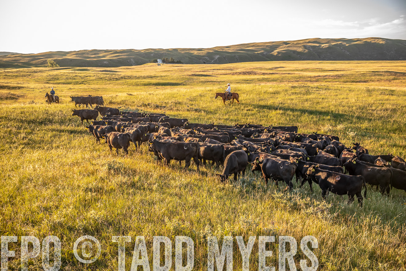 PP_TuckerRanch_NE_July2019-42392