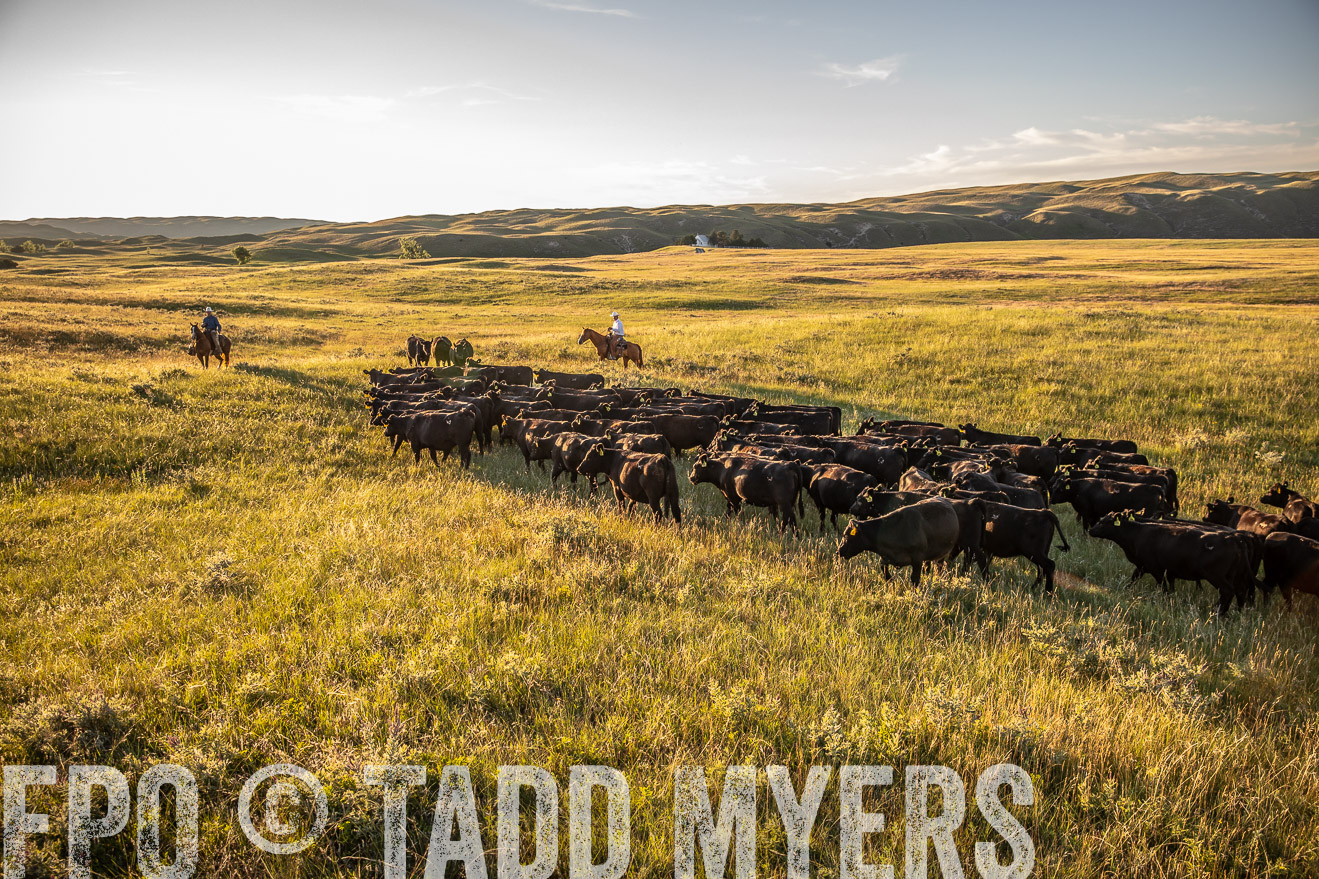 PP_TuckerRanch_NE_July2019-42396