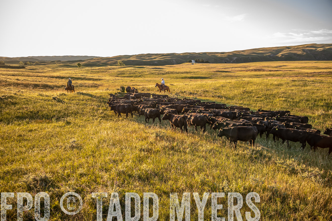PP_TuckerRanch_NE_July2019-42398