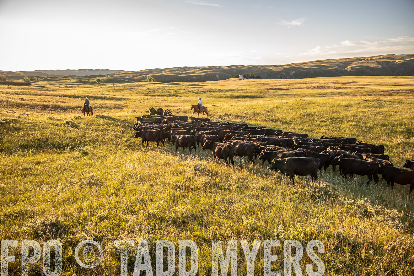 PP_TuckerRanch_NE_July2019-42399