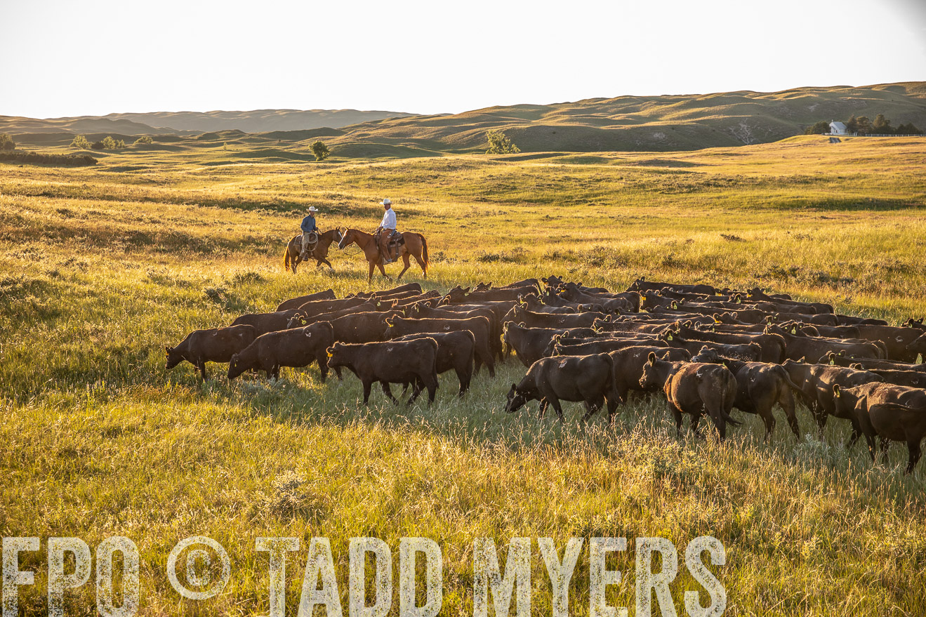 PP_TuckerRanch_NE_July2019-42410
