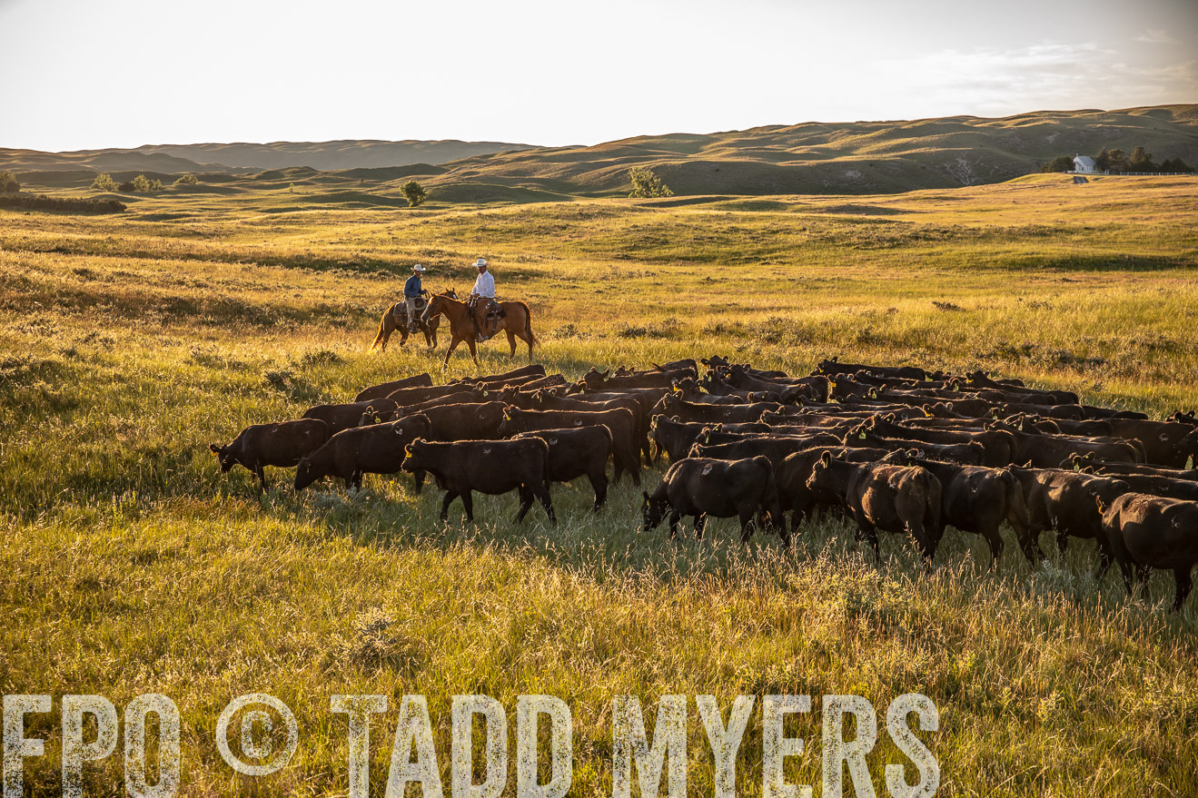 PP_TuckerRanch_NE_July2019-42411