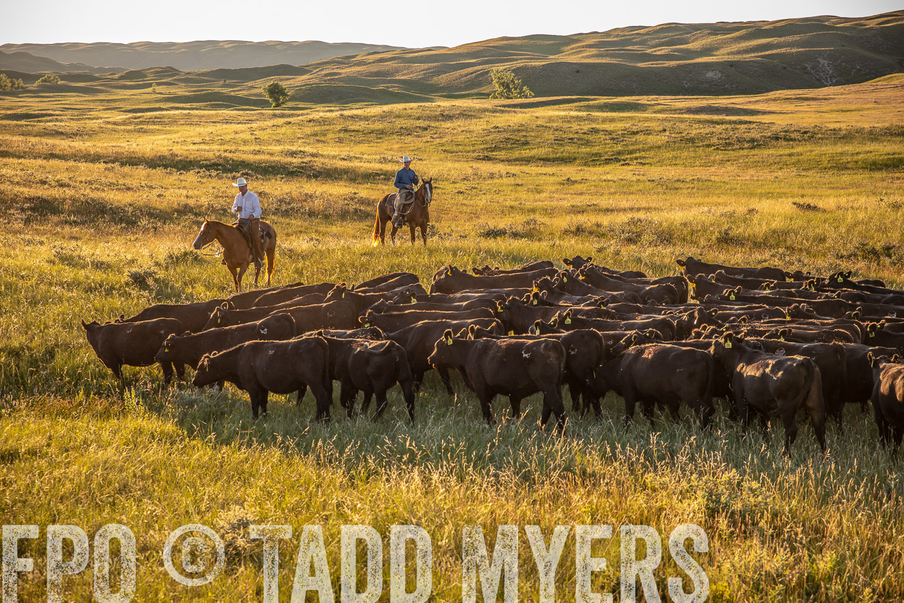 PP_TuckerRanch_NE_July2019-42413