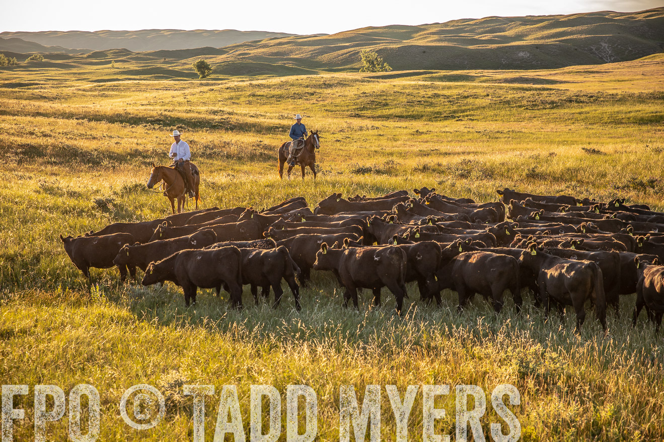 PP_TuckerRanch_NE_July2019-42414