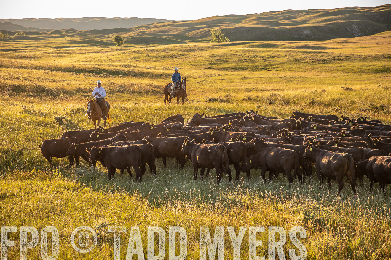 PP_TuckerRanch_NE_July2019-42416