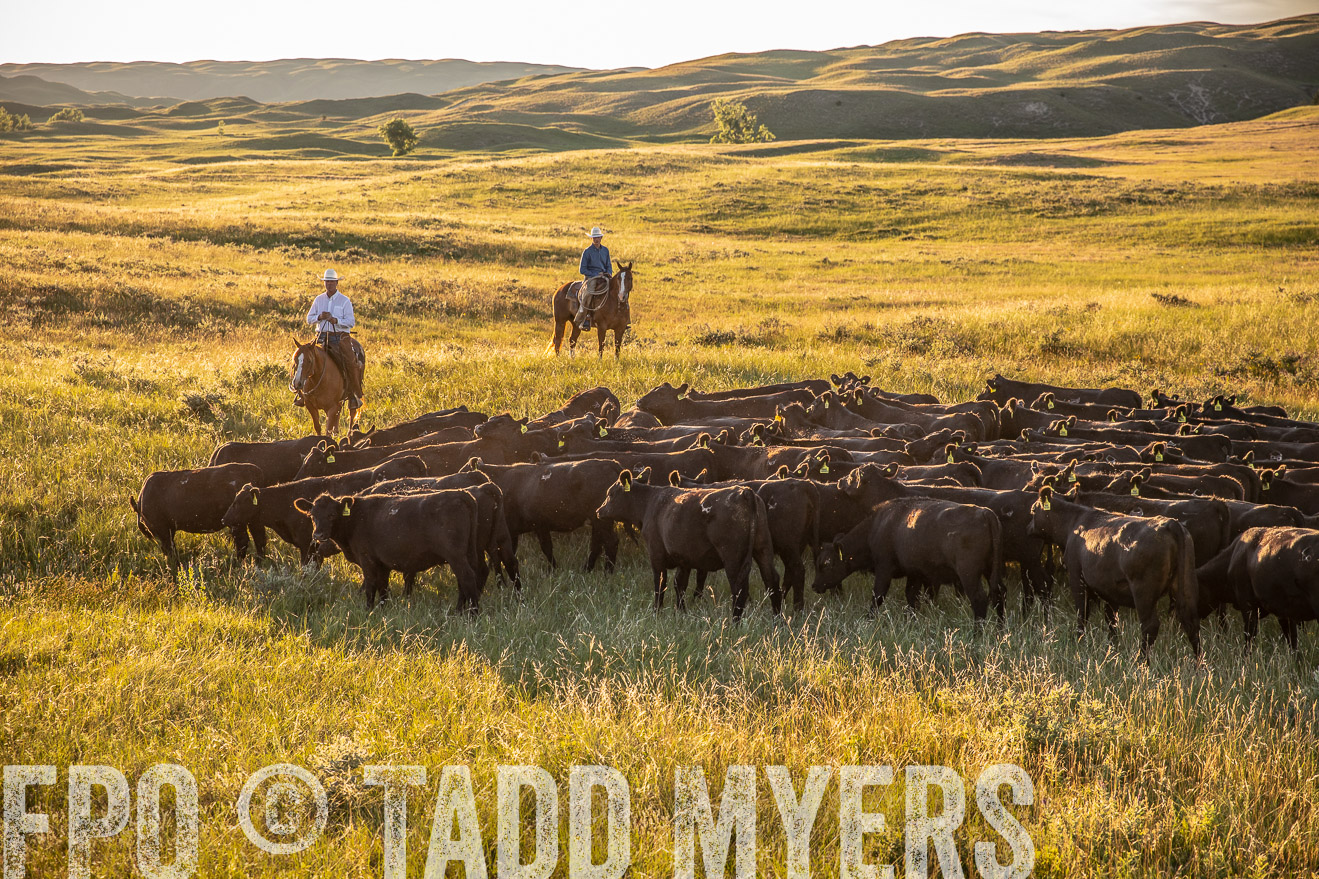 PP_TuckerRanch_NE_July2019-42417