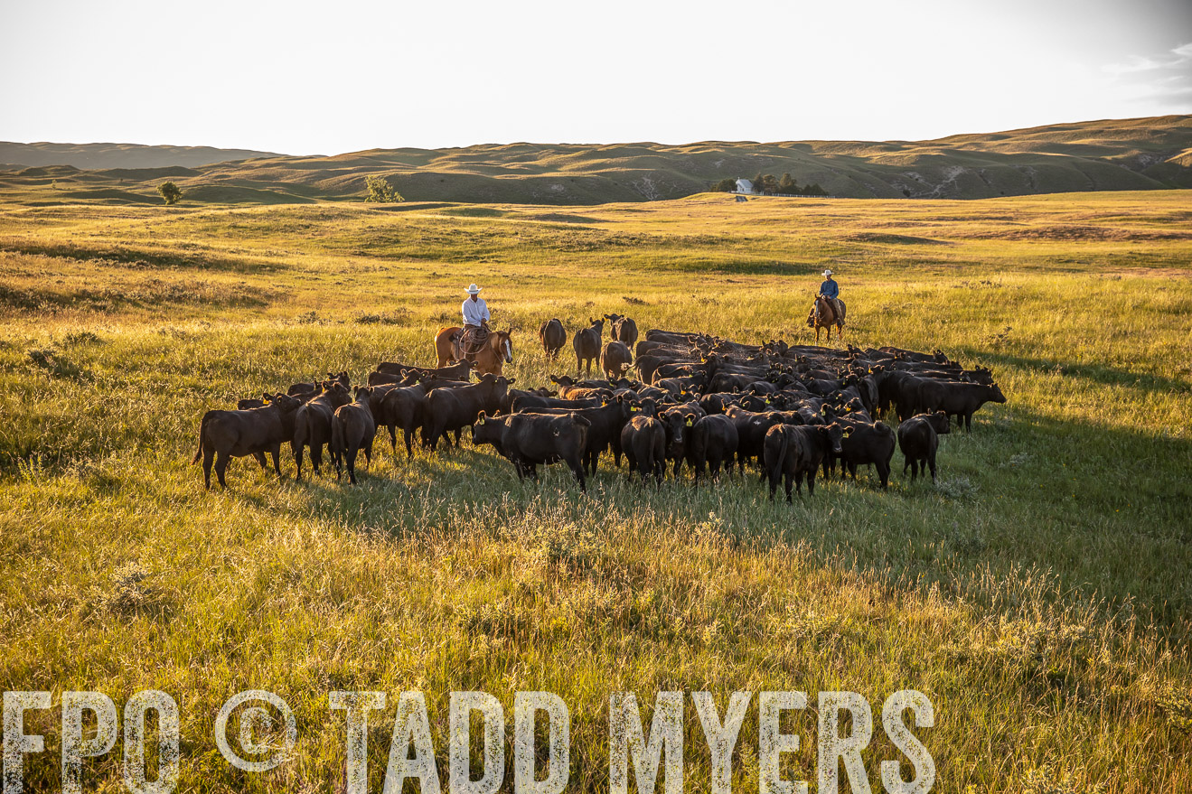 PP_TuckerRanch_NE_July2019-42422