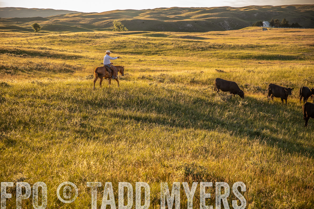 PP_TuckerRanch_NE_July2019-42429