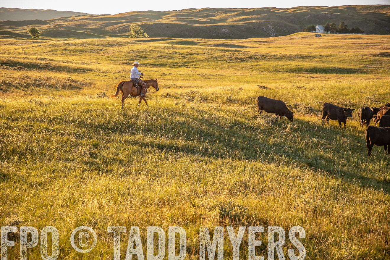PP_TuckerRanch_NE_July2019-42431