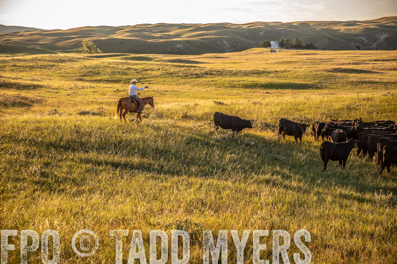 PP_TuckerRanch_NE_July2019-42432