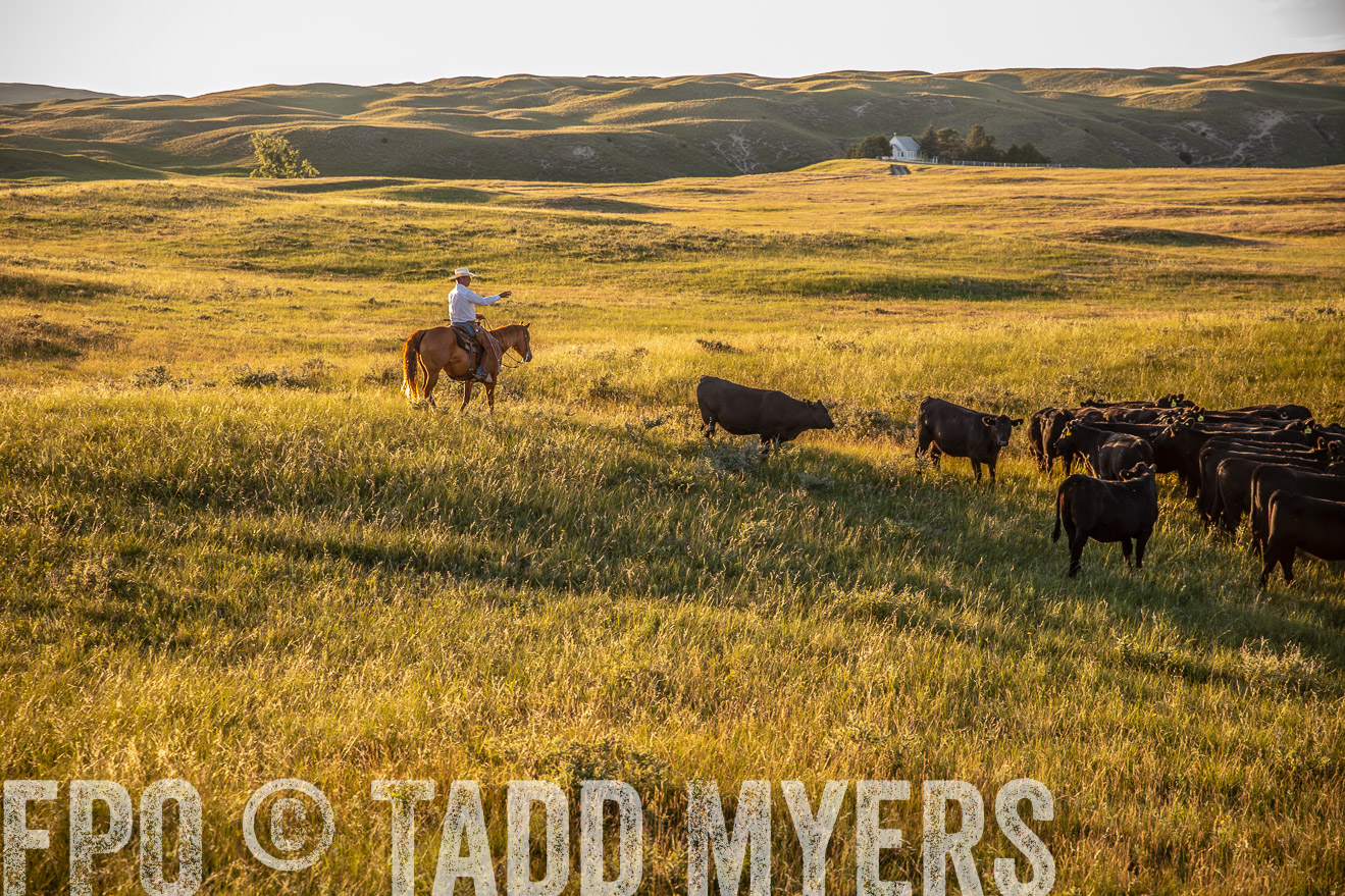 PP_TuckerRanch_NE_July2019-42434
