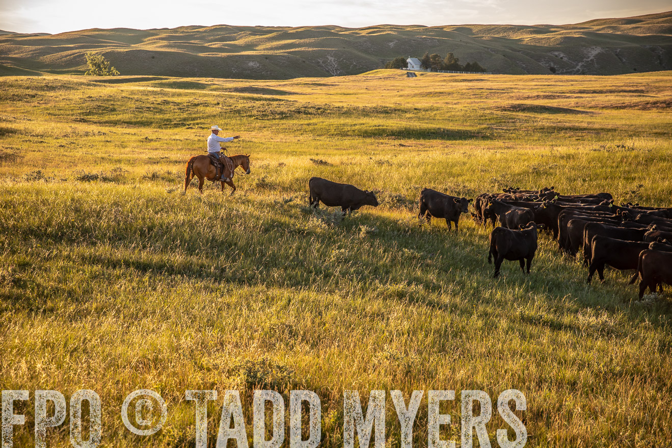 PP_TuckerRanch_NE_July2019-42435