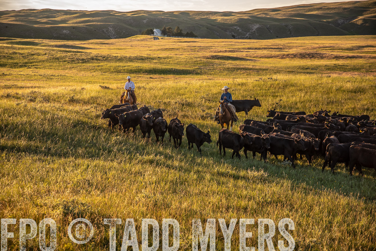 PP_TuckerRanch_NE_July2019-42438