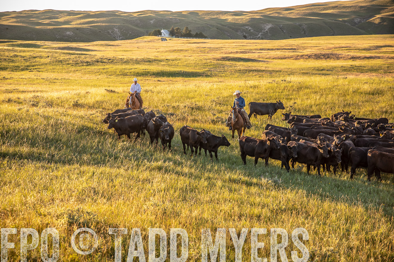 PP_TuckerRanch_NE_July2019-42440
