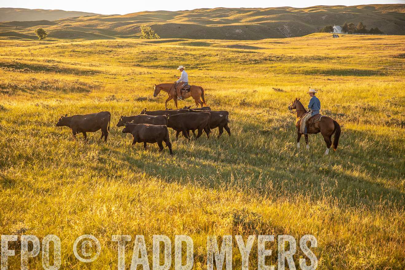 PP_TuckerRanch_NE_July2019-42443