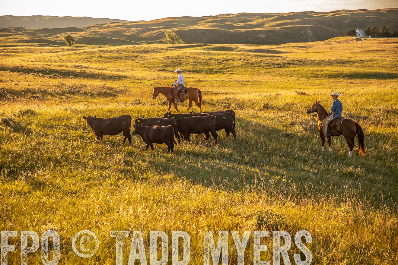 PP_TuckerRanch_NE_July2019-42444