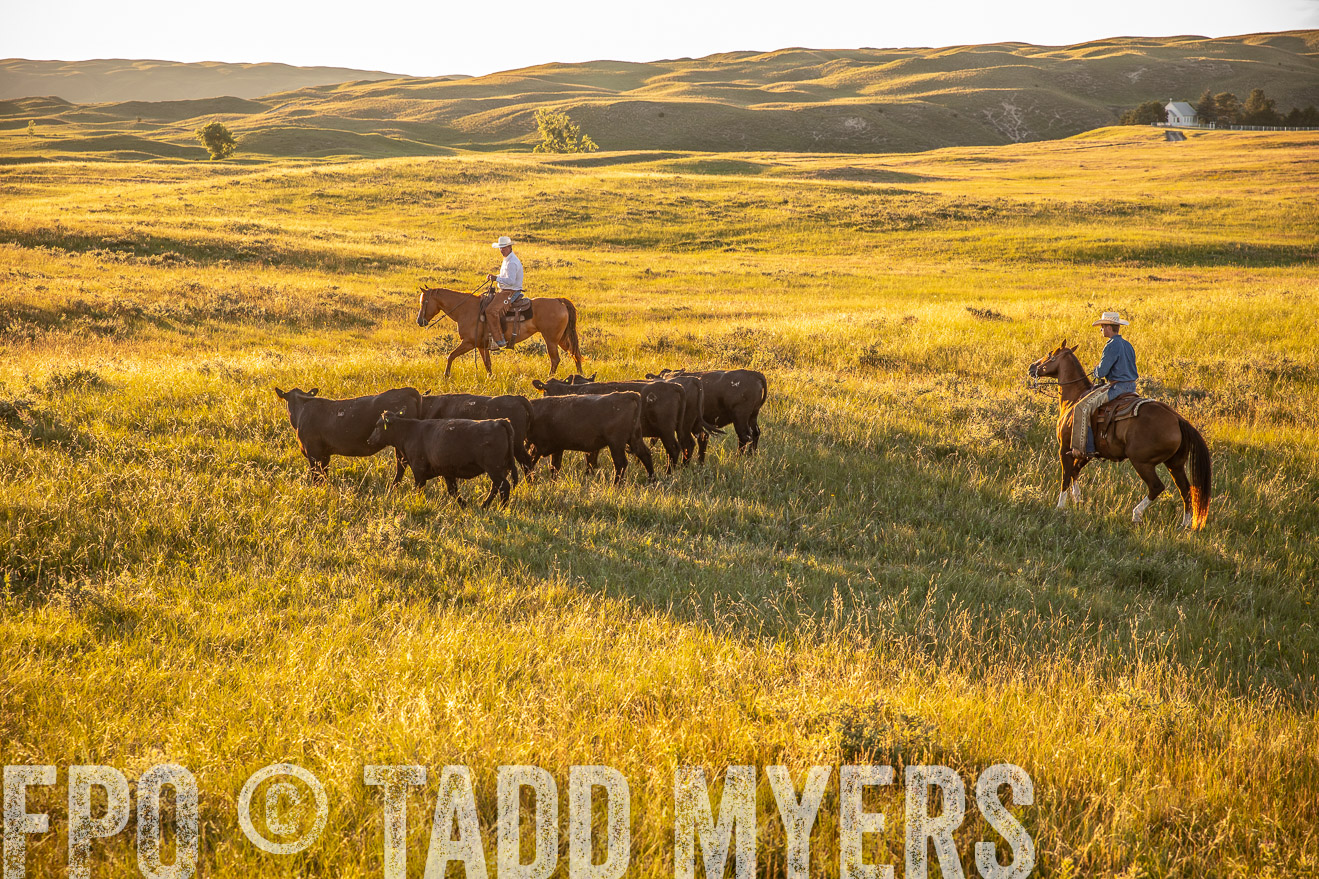 PP_TuckerRanch_NE_July2019-42446