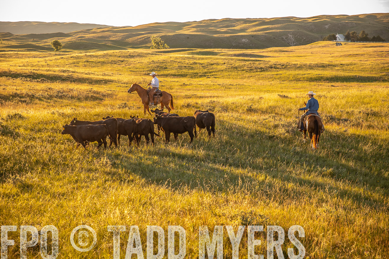 PP_TuckerRanch_NE_July2019-42449