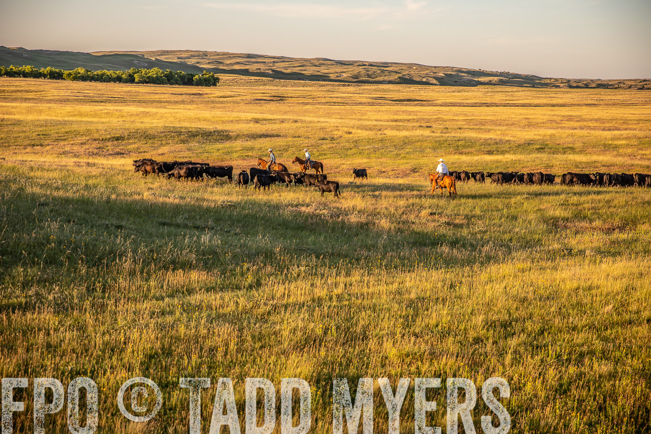 PP_TuckerRanch_NE_July2019-42459
