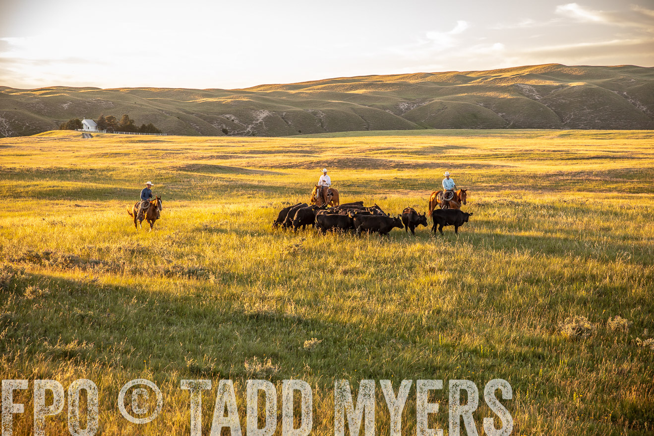 PP_TuckerRanch_NE_July2019-42464