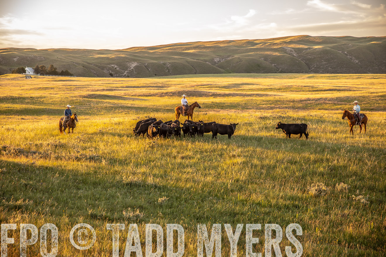 PP_TuckerRanch_NE_July2019-42466