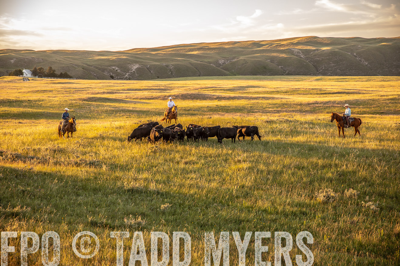 PP_TuckerRanch_NE_July2019-42467
