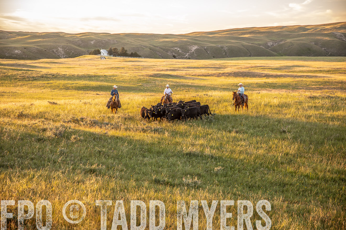 PP_TuckerRanch_NE_July2019-42470