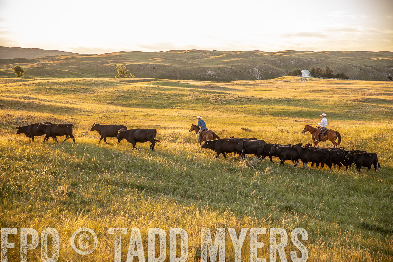 PP_TuckerRanch_NE_July2019-42472