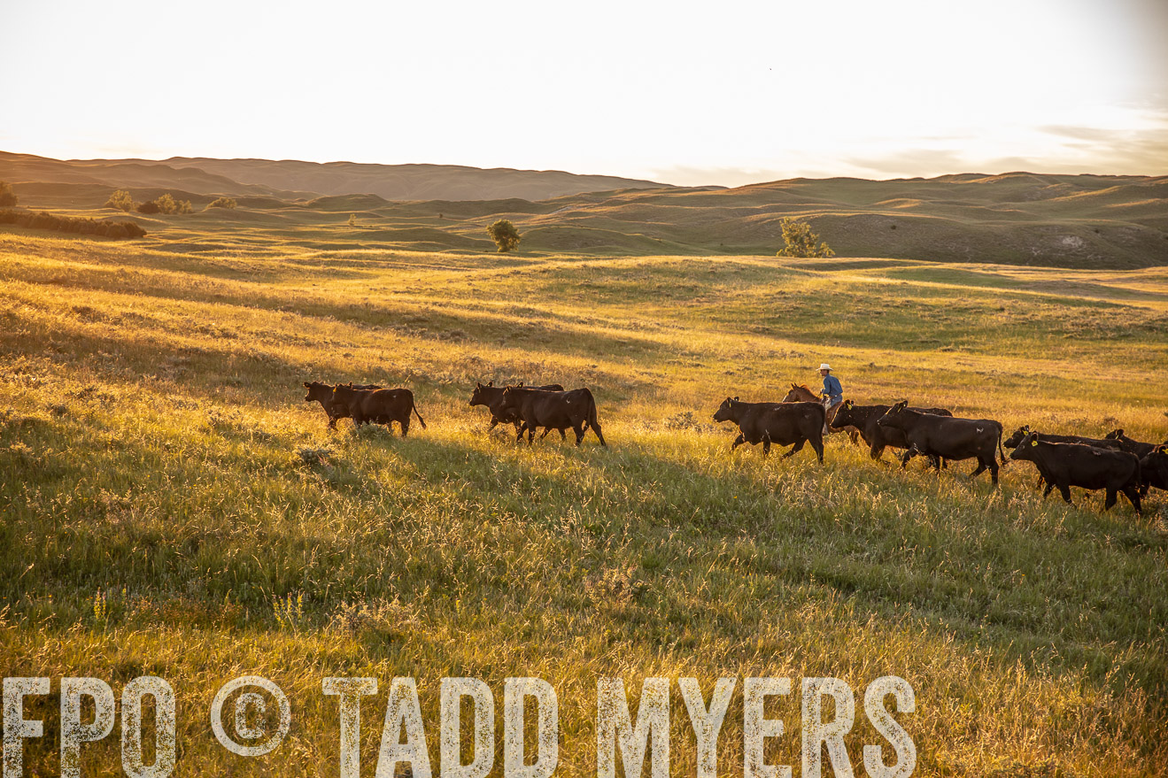 PP_TuckerRanch_NE_July2019-42474