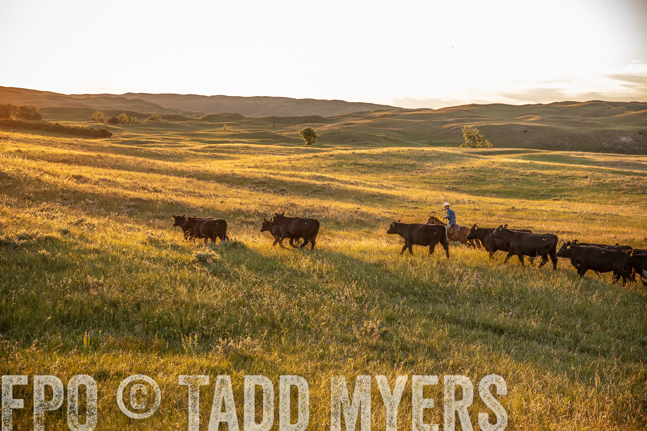 PP_TuckerRanch_NE_July2019-42475