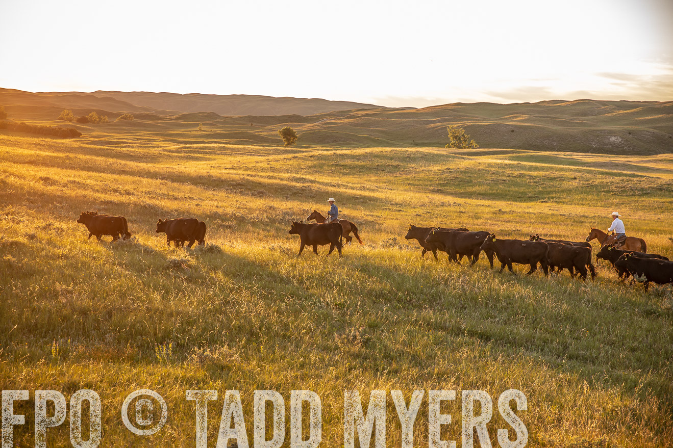 PP_TuckerRanch_NE_July2019-42476