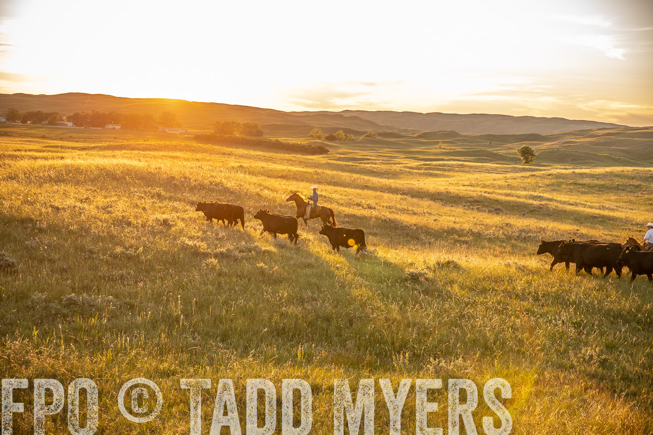 PP_TuckerRanch_NE_July2019-42480