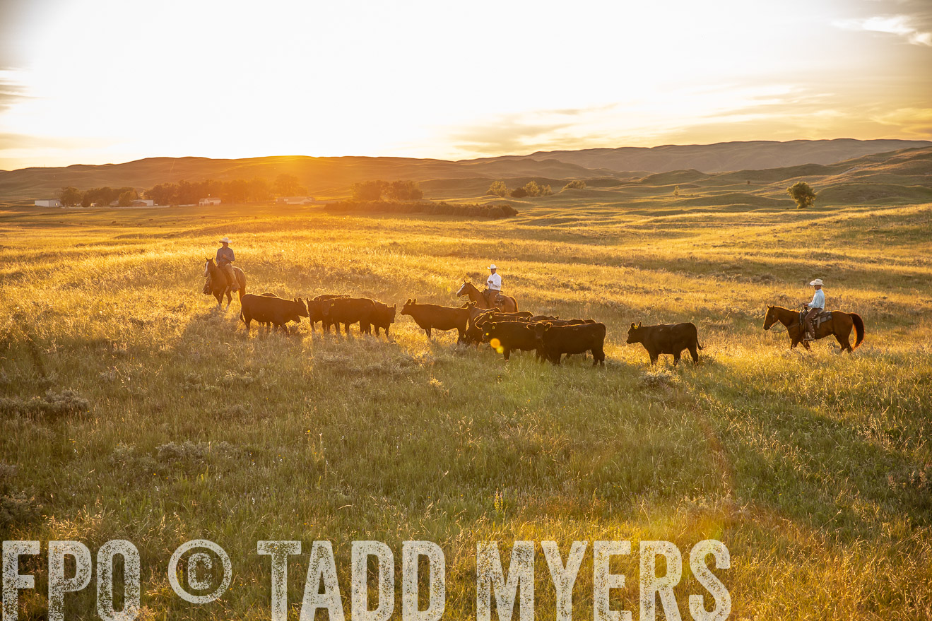 PP_TuckerRanch_NE_July2019-42486