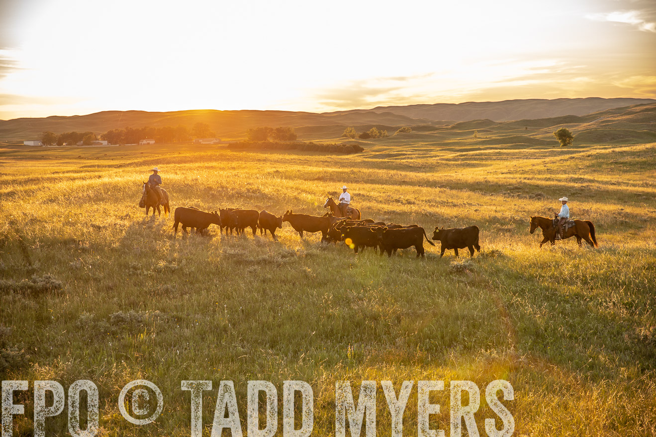 PP_TuckerRanch_NE_July2019-42487