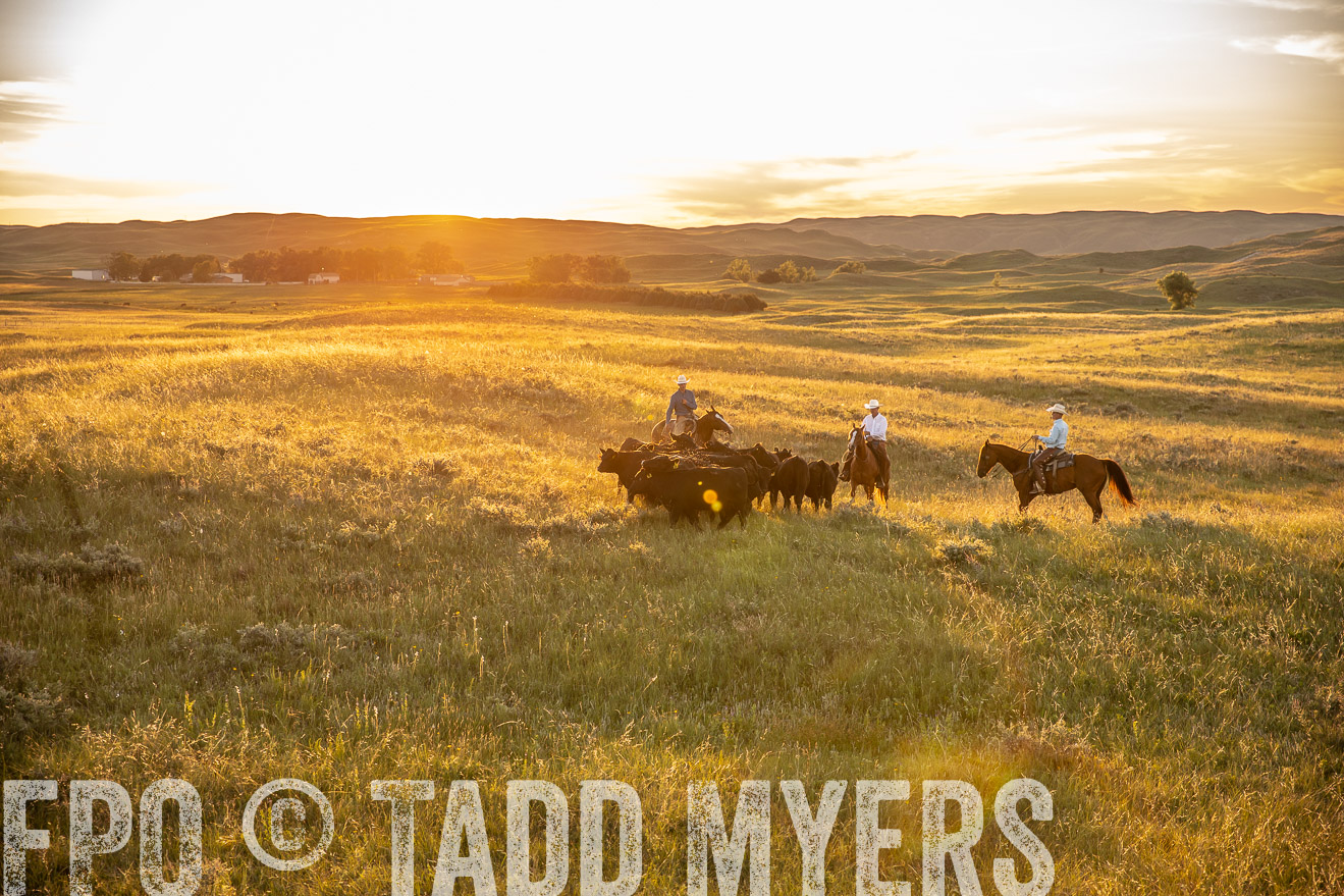 PP_TuckerRanch_NE_July2019-42490