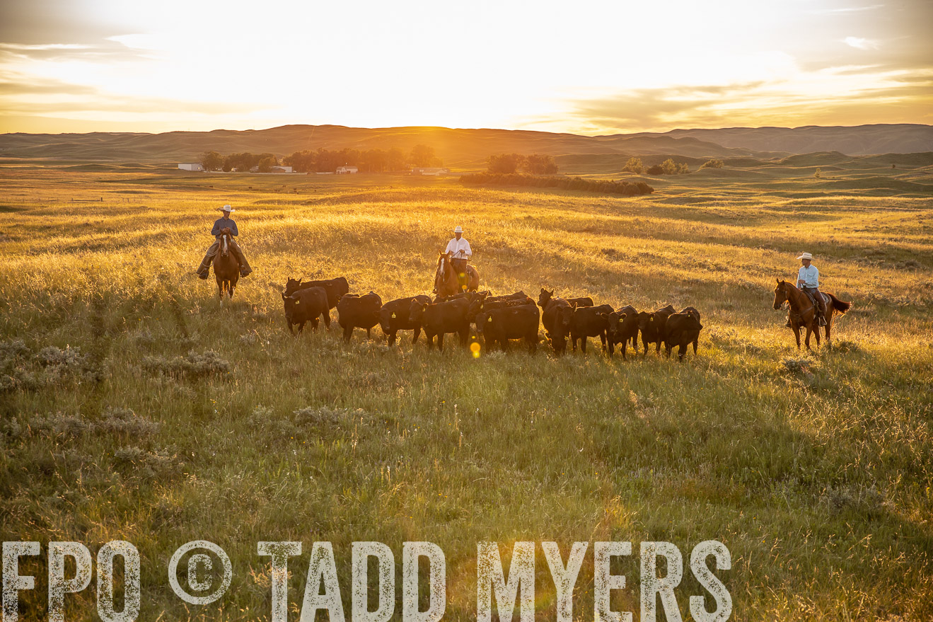 PP_TuckerRanch_NE_July2019-42493
