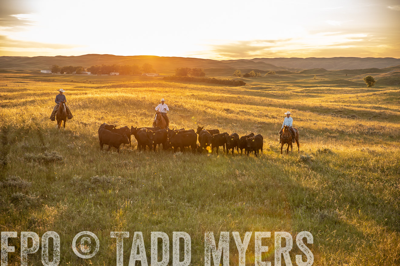 PP_TuckerRanch_NE_July2019-42496
